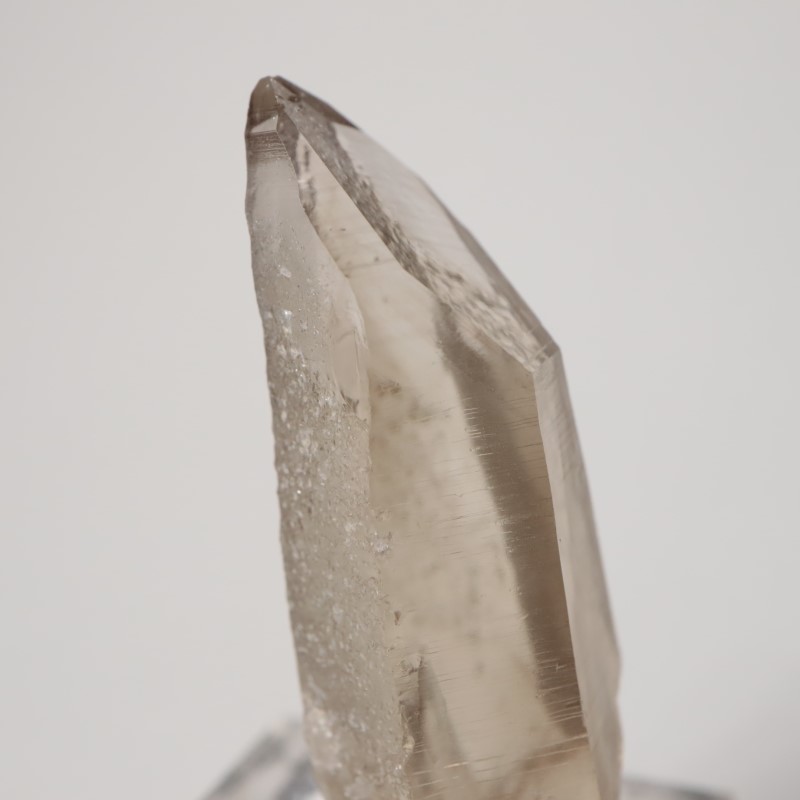 ��󥿥ʽ�����徽