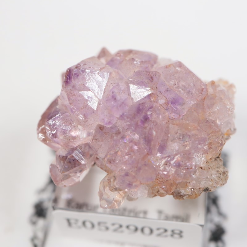 Karur�������᥷����