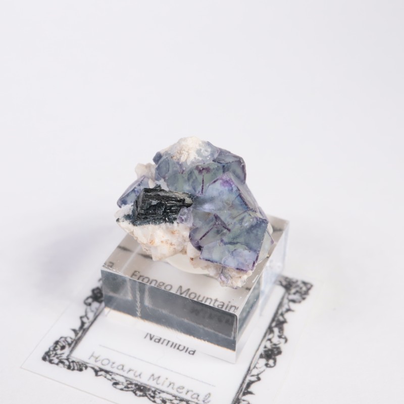 エロンゴ鉱山産 フローライト | 鉱物標本,ハ行,フローライト/蛍石