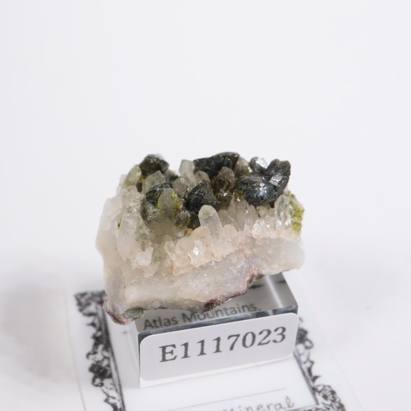 ����å��� ���ԥɡ���