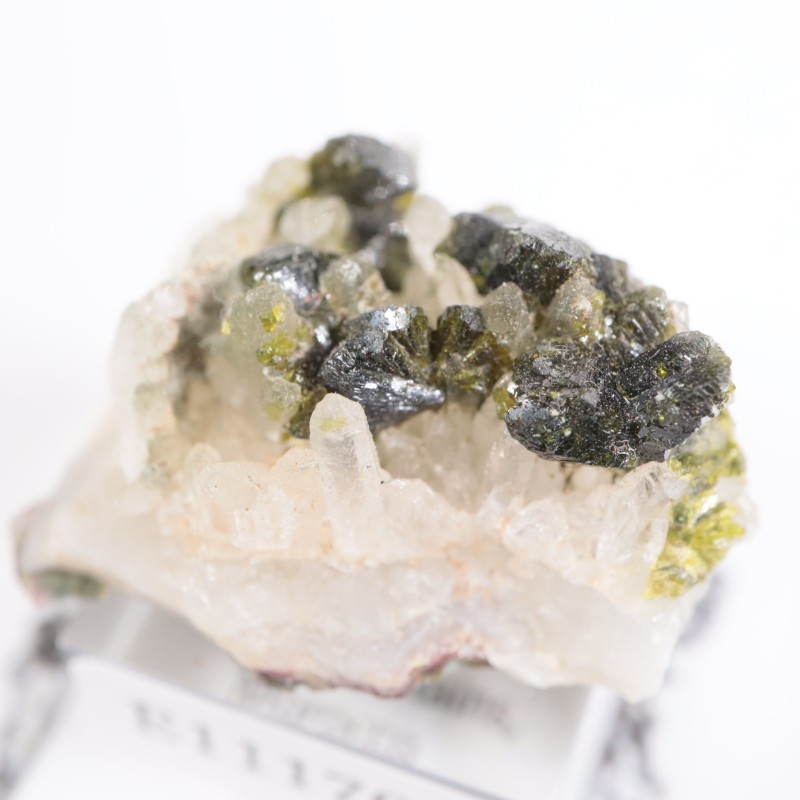 ����å��� ���ԥɡ���