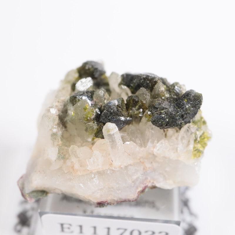 ����å��� ���ԥɡ���