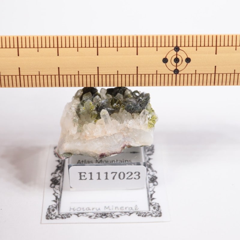 ����å��� ���ԥɡ���