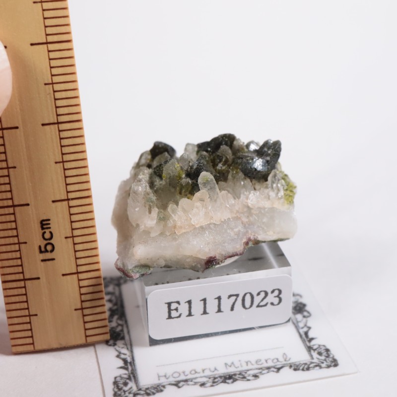 ����å��� ���ԥɡ���