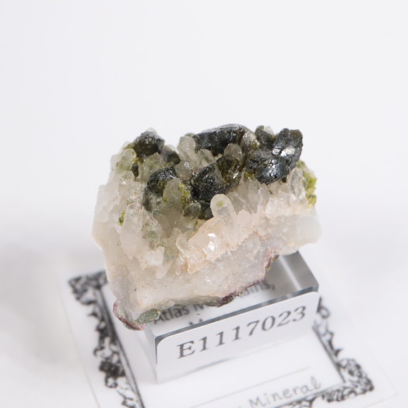 ����å��� ���ԥɡ���