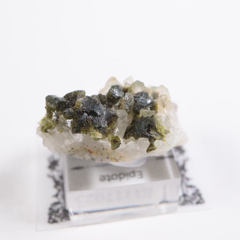 ����å��� ���ԥɡ���