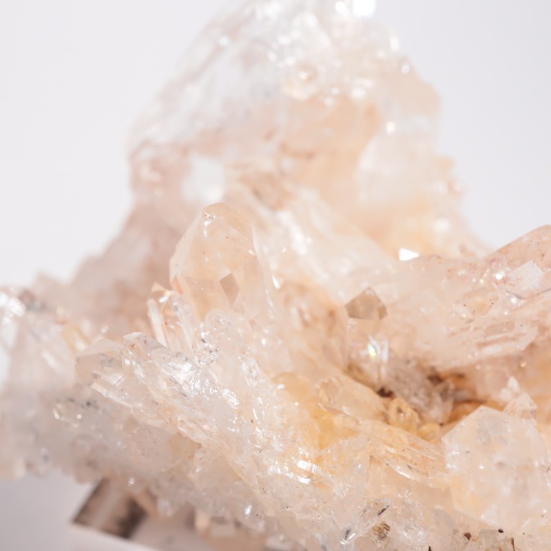 ������ӥ��� �ԥ󥯥������徽