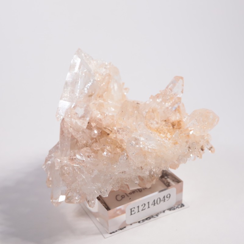 ������ӥ��� �ԥ󥯥������徽