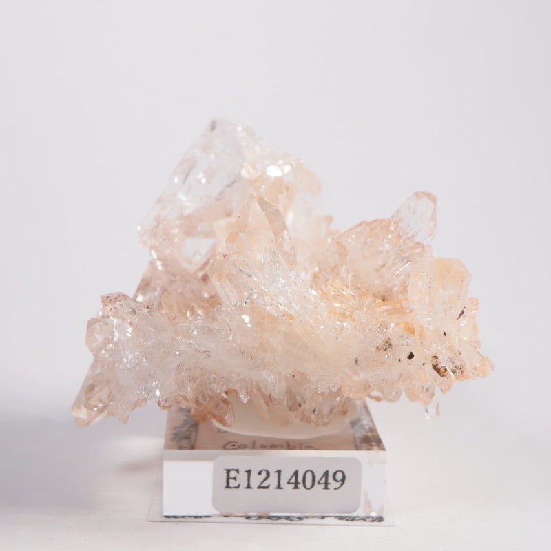 ������ӥ��� �ԥ󥯥������徽