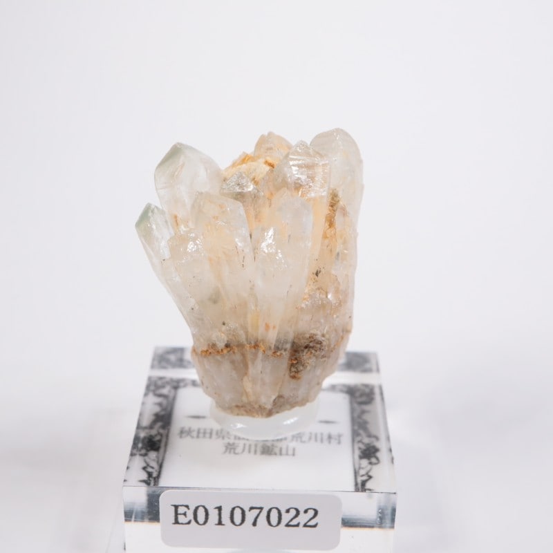 ����ۻ������п徽