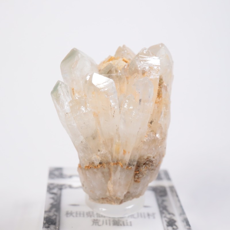 ����ۻ������п徽