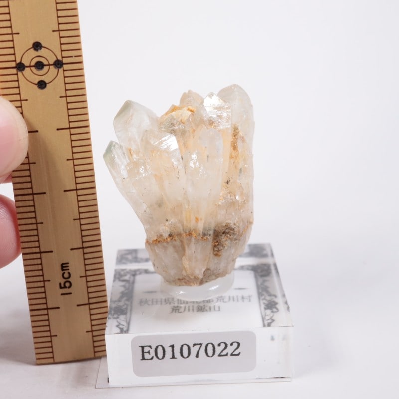 ����ۻ������п徽