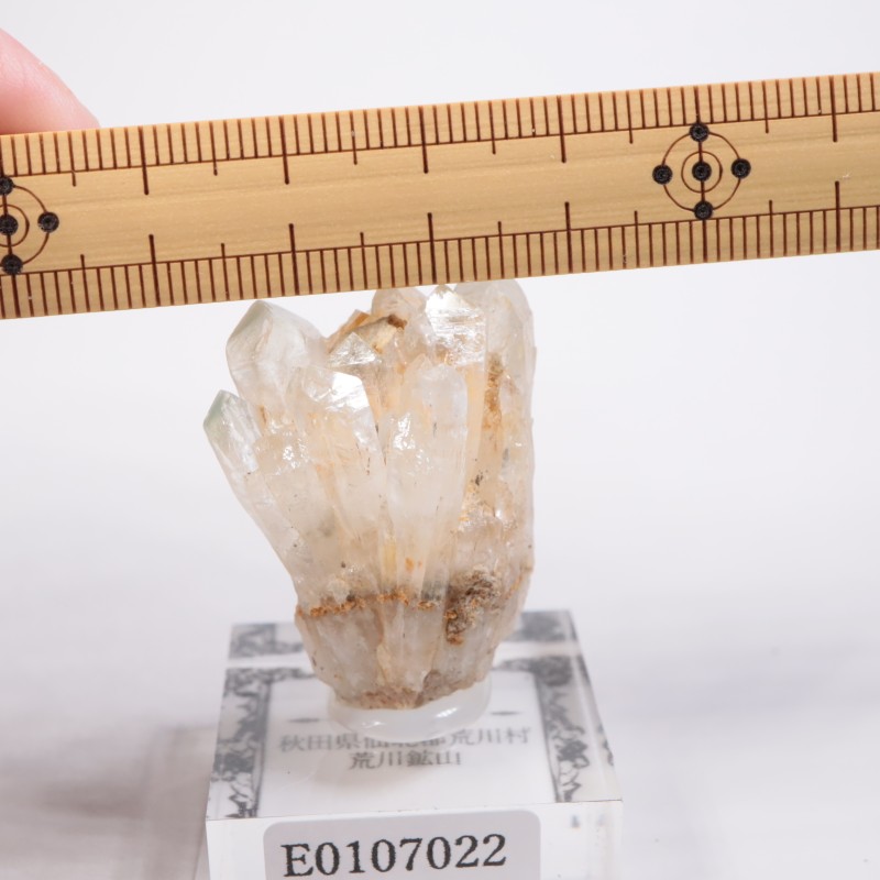 ����ۻ������п徽