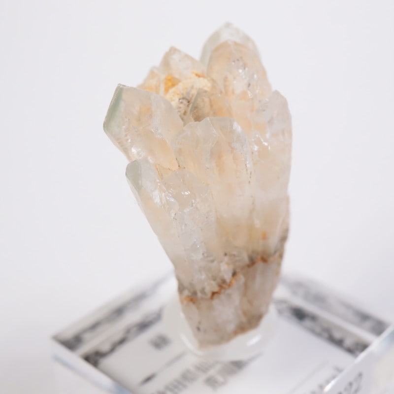 ����ۻ������п徽