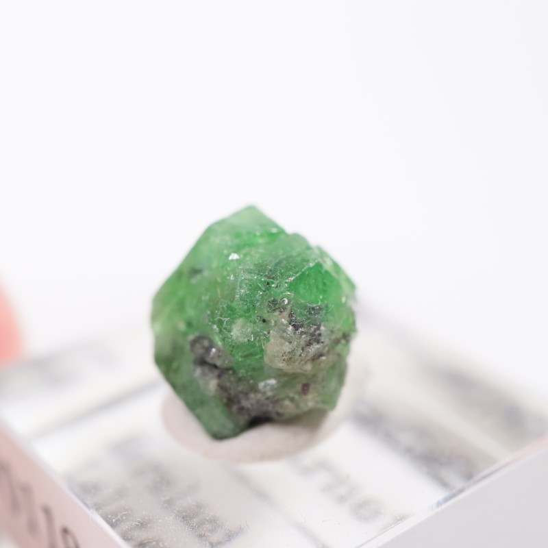 ���󥶥˥��� �����ͥå�