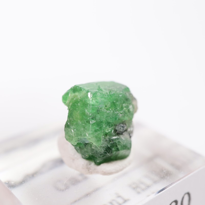 ���󥶥˥��� �����ͥå�