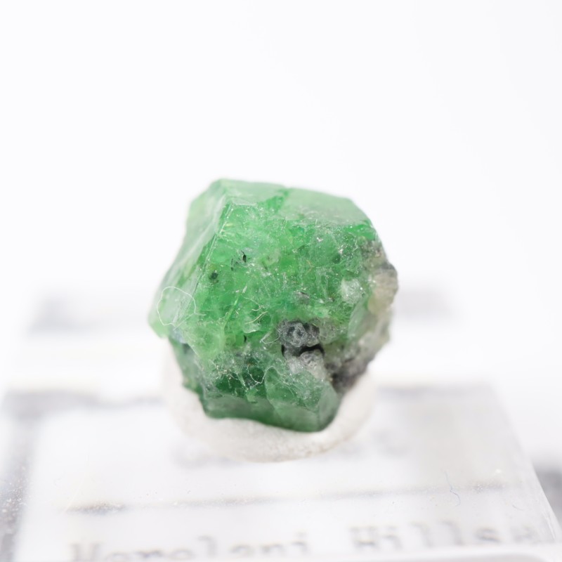 ���󥶥˥��� �����ͥå�