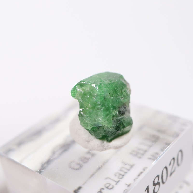 ���󥶥˥��� �����ͥå�