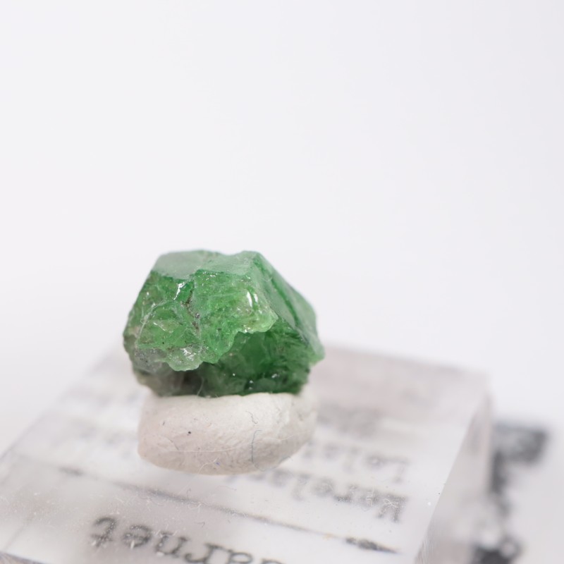 ���󥶥˥��� �����ͥå�