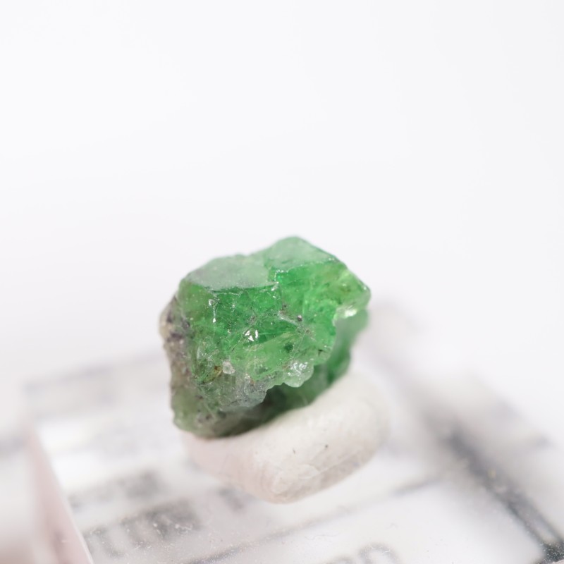 ���󥶥˥��� �����ͥå�