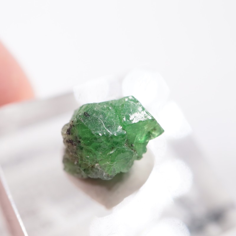 ���󥶥˥��� �����ͥå�