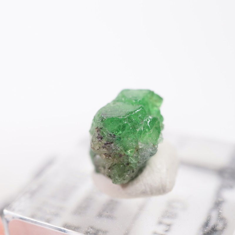 ���󥶥˥��� �����ͥå�