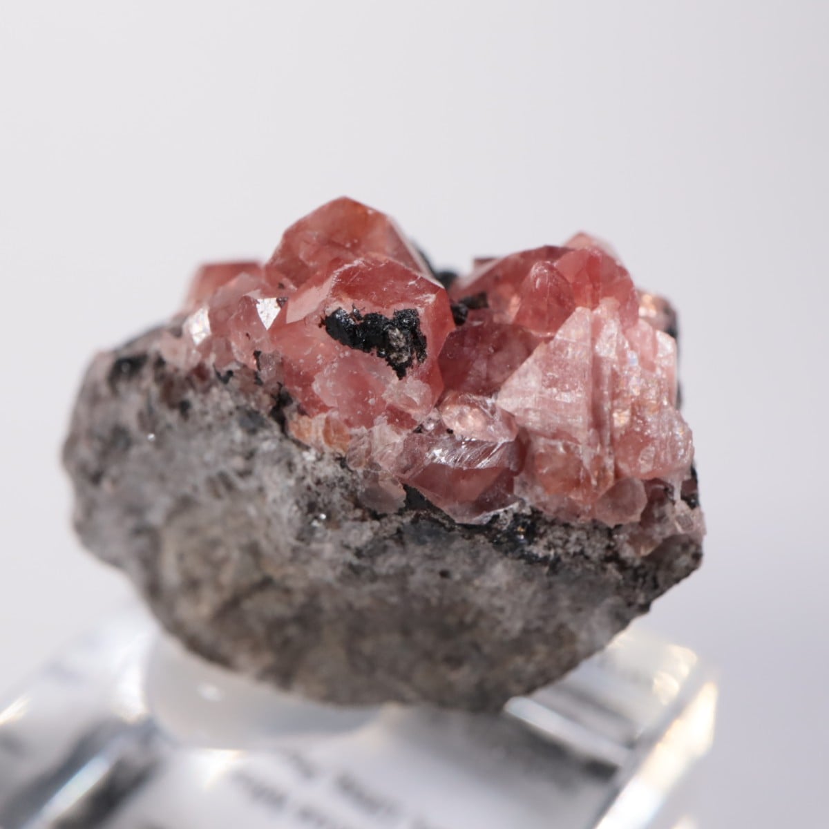 ペルー産 ロードクロサイト | 鉱物標本,ラ行,ロードクロサイト/菱