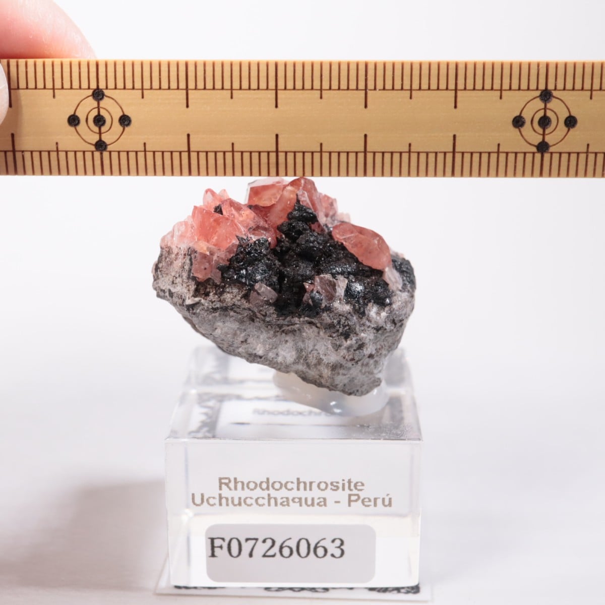 �ڥ롼�� �����ɥ���������