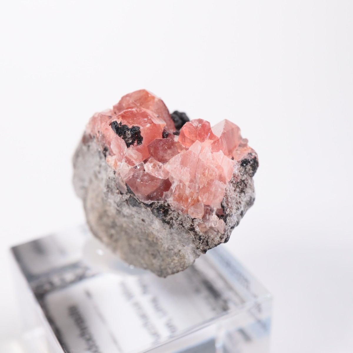 ペルー産 ロードクロサイト | 鉱物標本,ラ行,ロードクロサイト/菱