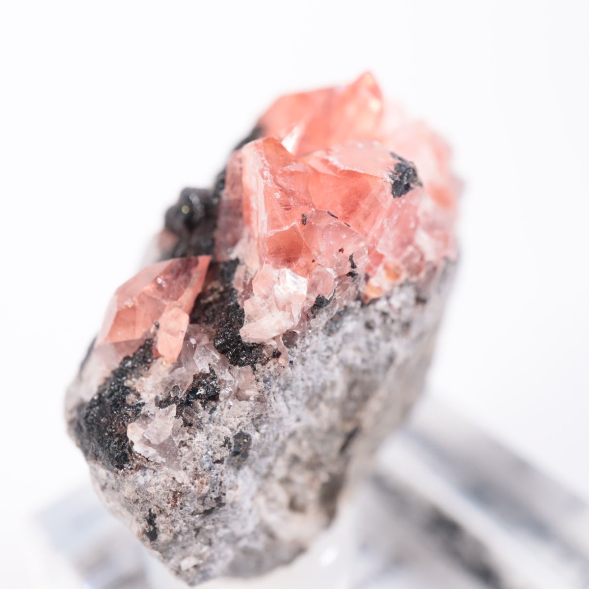 ペルー産 ロードクロサイト | 鉱物標本,ラ行,ロードクロサイト/菱