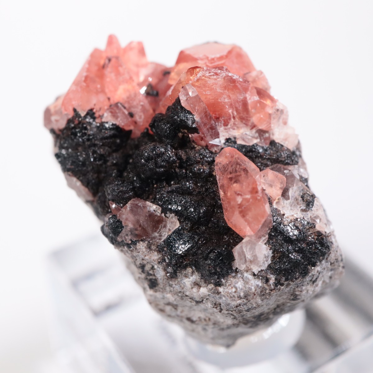 �ڥ롼�� �����ɥ���������