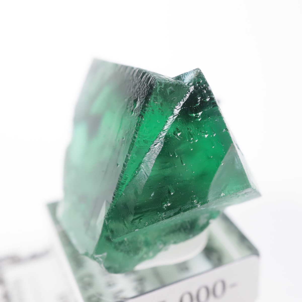 Greedy Hog Pocket ե饤