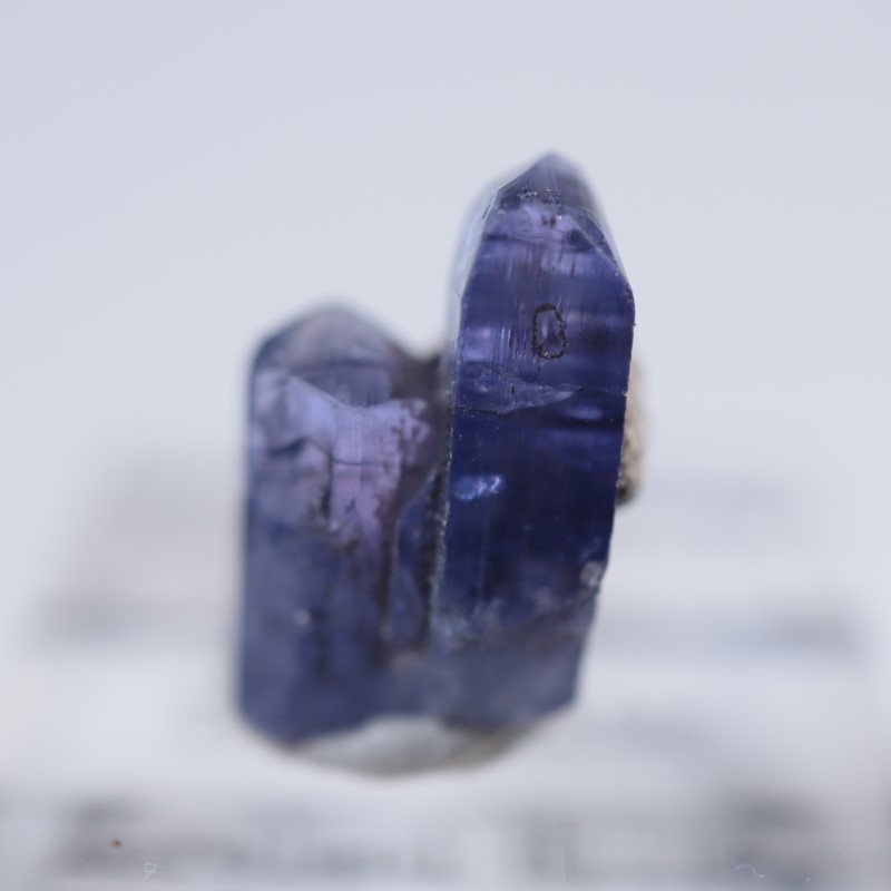 メレラニヒルズ産 タンザナイト | 鉱物標本,タ行,タンザナイト