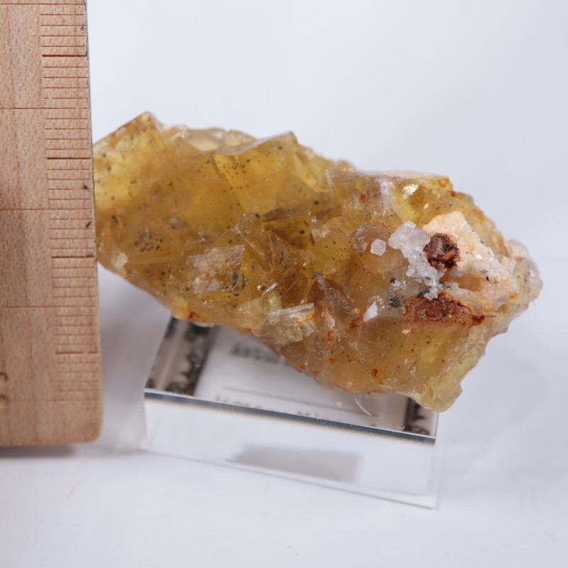 �⥹���ʹۻ����ե����饤��