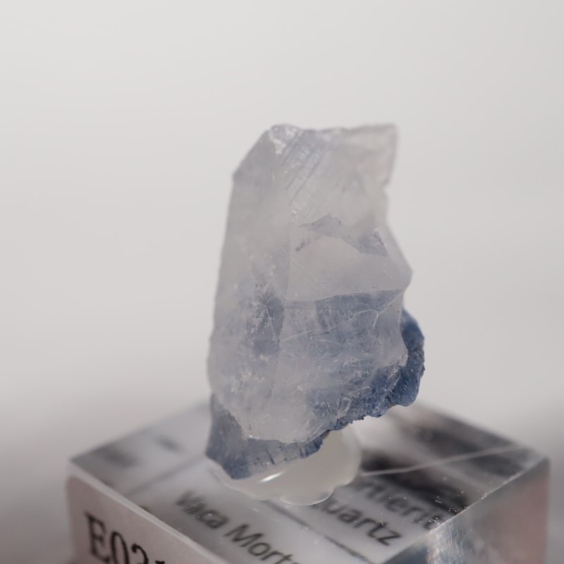 �ǥ�������饤������徽