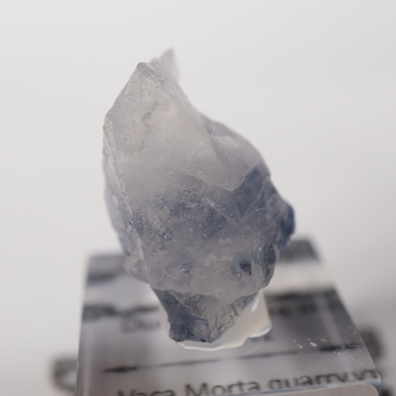 �ǥ�������饤������徽