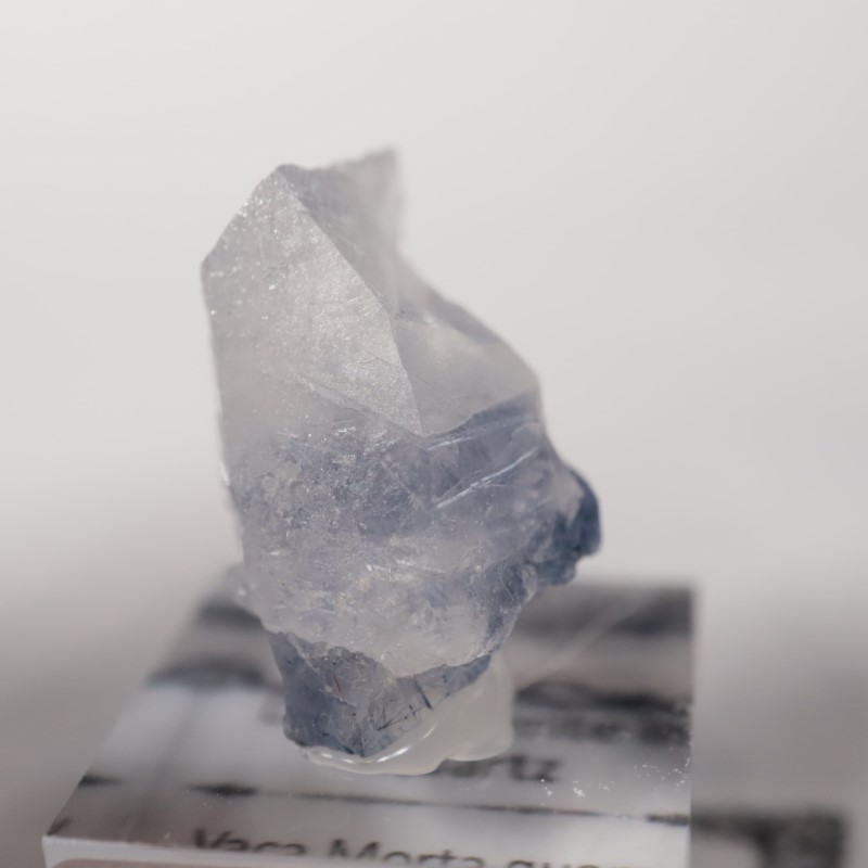 �ǥ�������饤������徽