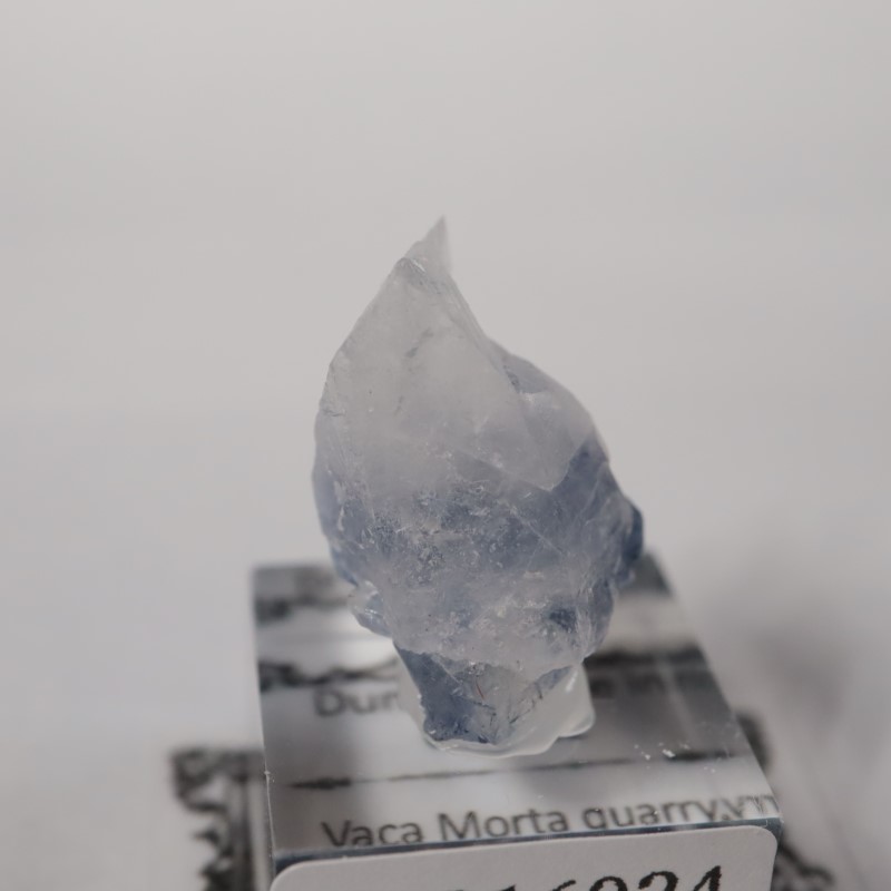 �ǥ�������饤������徽