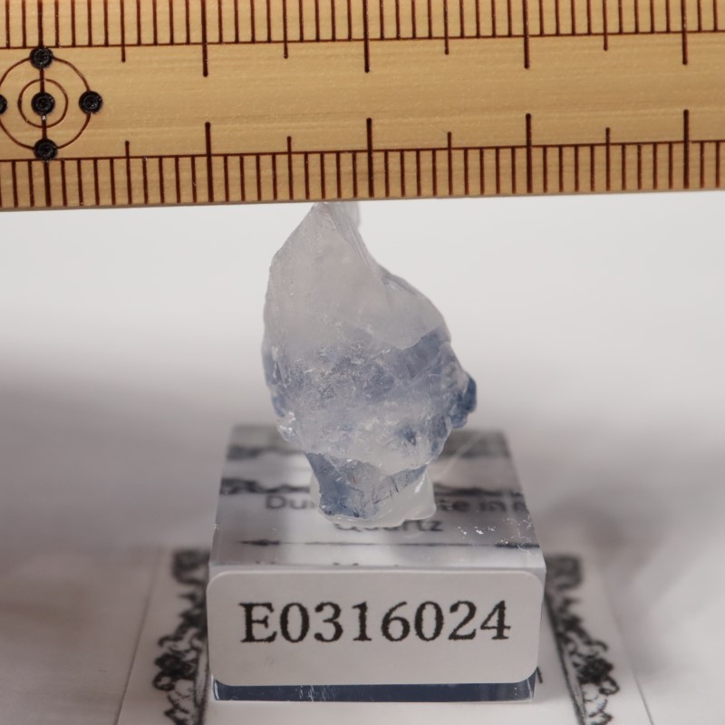 �ǥ�������饤������徽