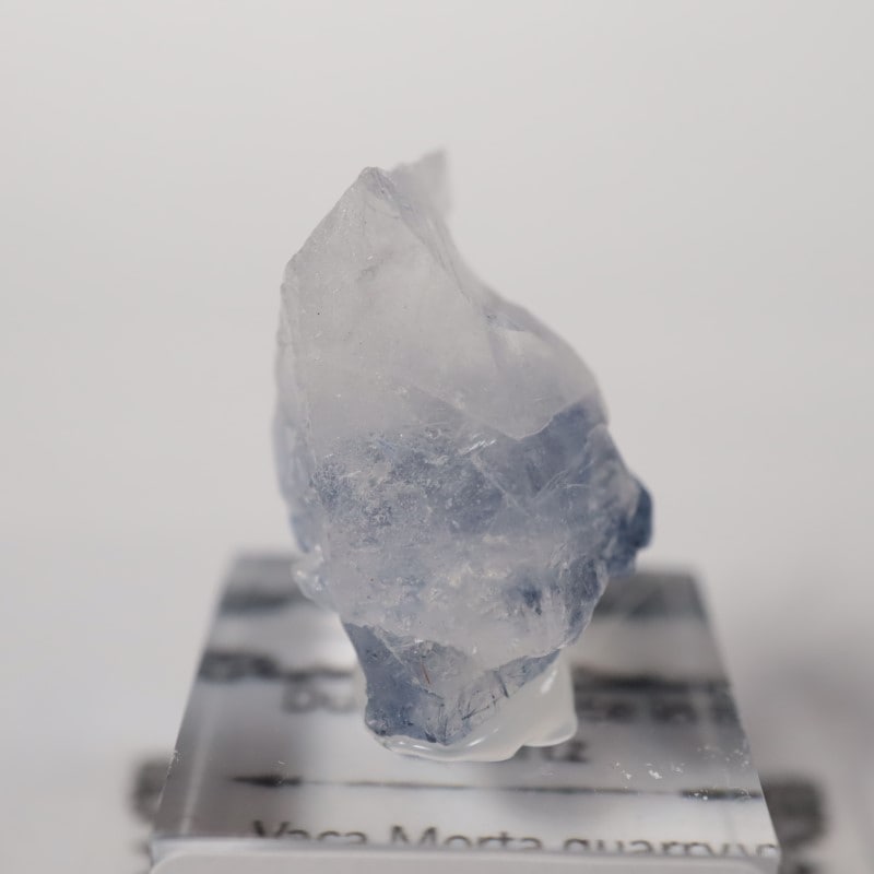 �ǥ�������饤������徽