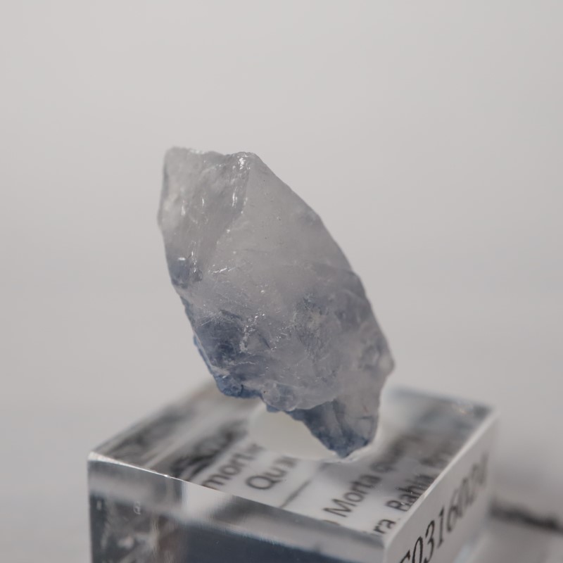 �ǥ�������饤������徽