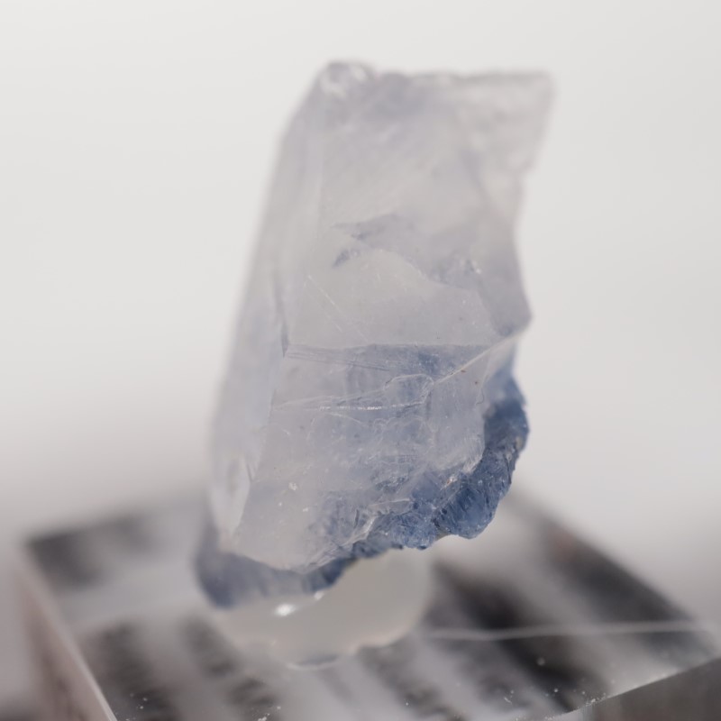 �ǥ�������饤������徽