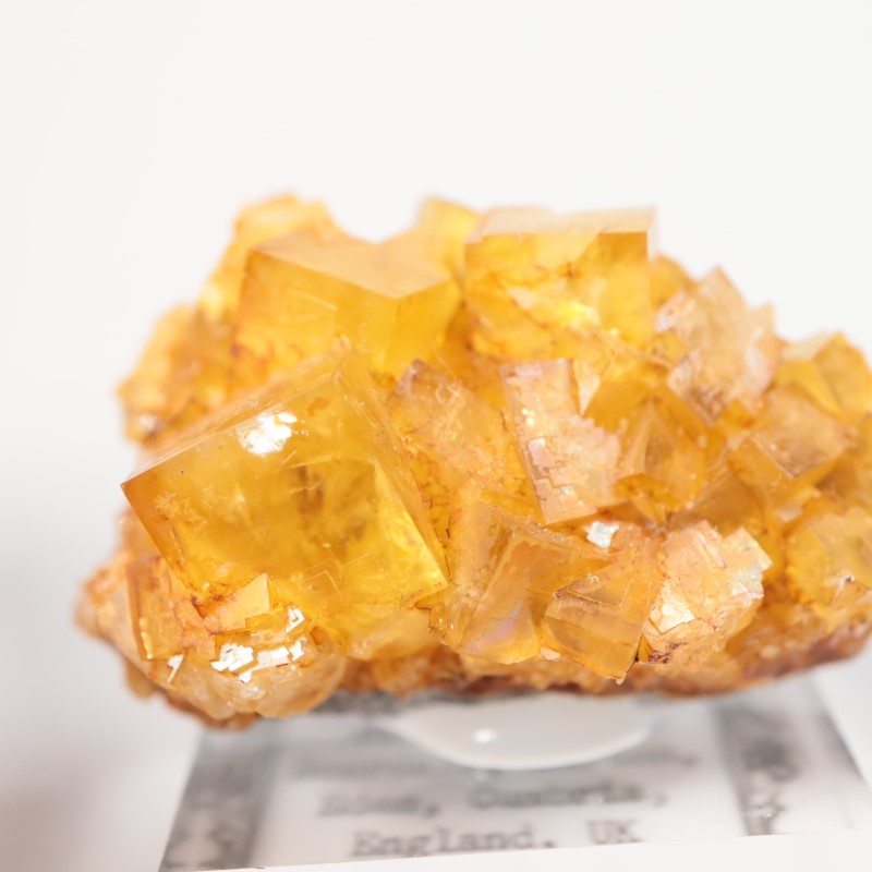 ヒルトン鉱山 フローライト | 鉱物標本,ハ行,フローライト/蛍石