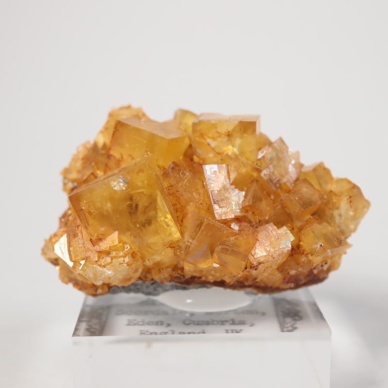 閉山ヒルトン鉱山　フローライト 蛍石　鉱物　鉱物標本 原石 fluorite ヒルトン鉱山 フローライト | 鉱物標本,ハ行,フローライト/蛍石
