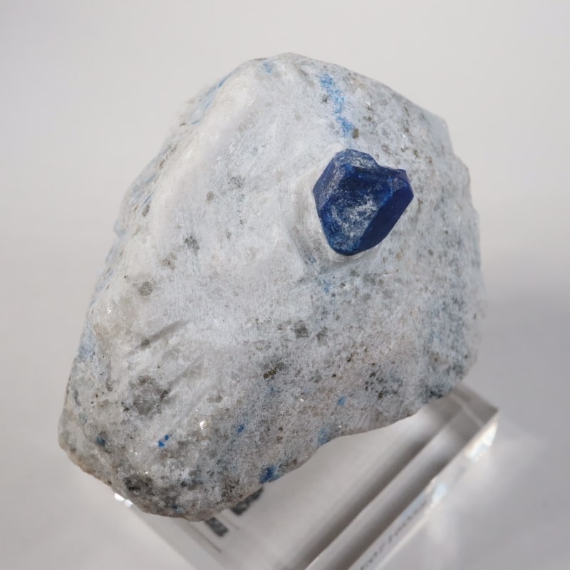 ���ե��˥����� �饺�饤�ȡʥ�ԥ��饺���