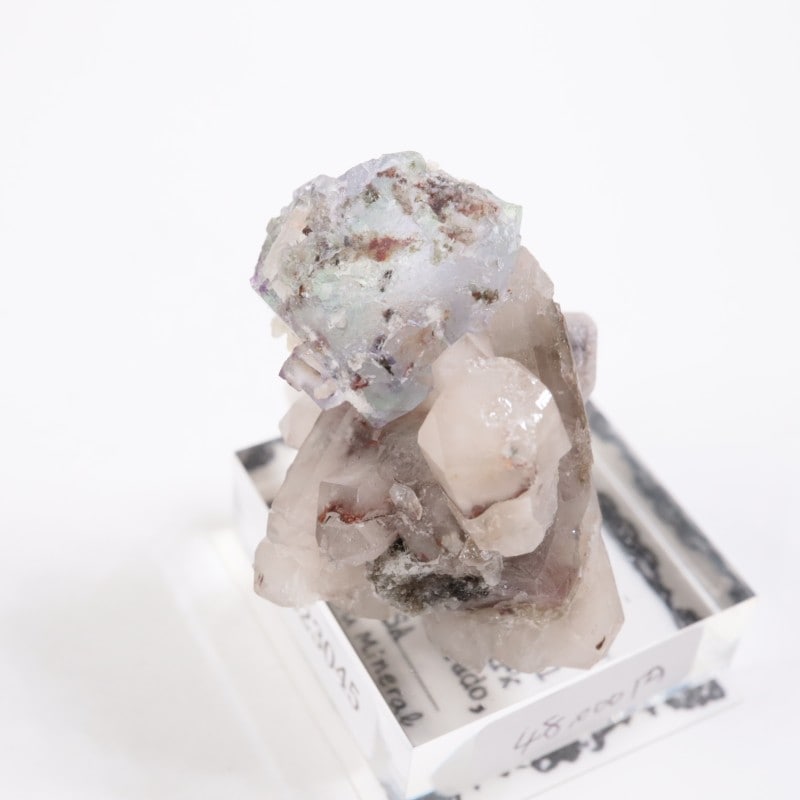 Green Monster Pocket �ե����饤��