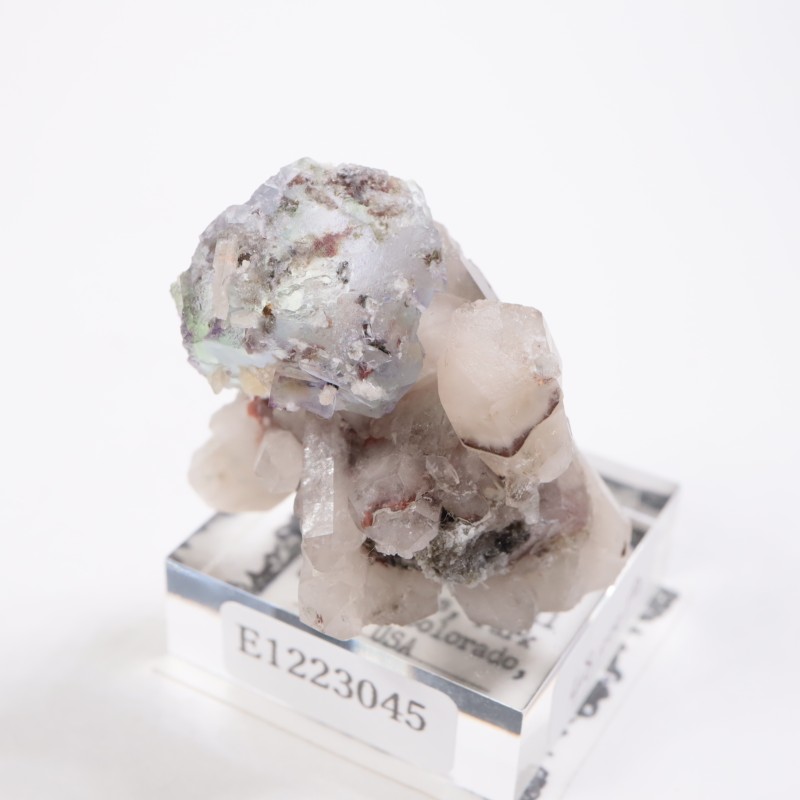 Green Monster Pocket �ե����饤��