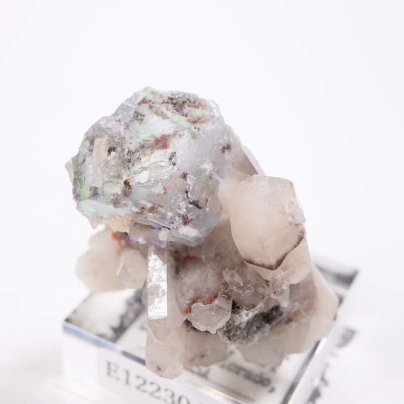 Green Monster Pocket �ե����饤��