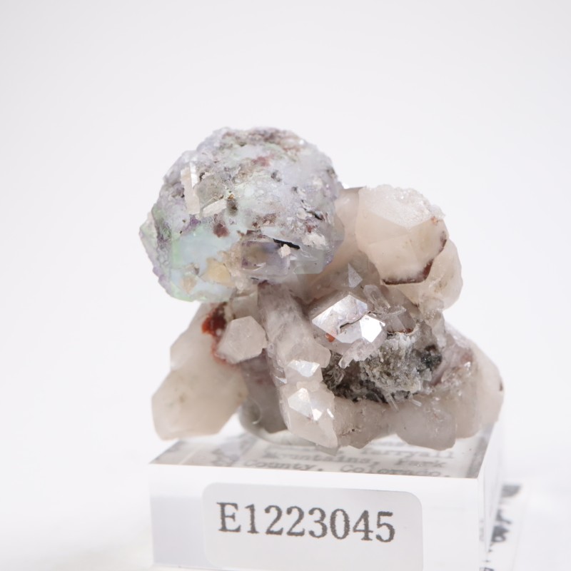 Green Monster Pocket �ե����饤��