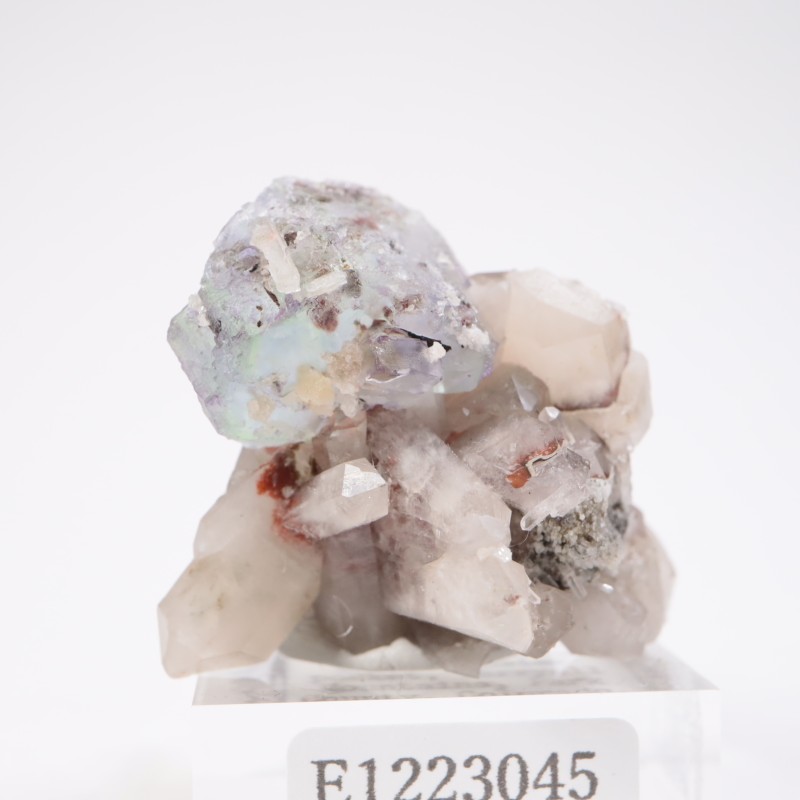 Green Monster Pocket �ե����饤��